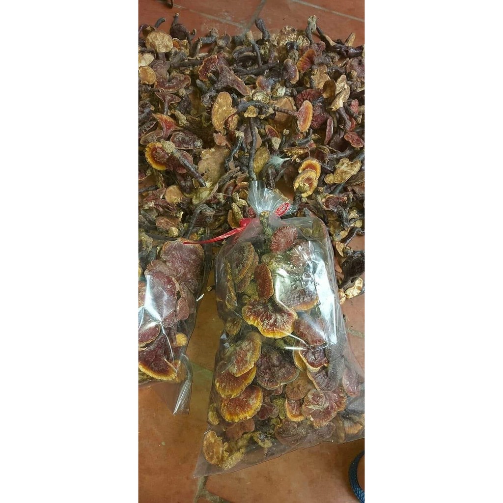 NẤM LIM XANH RỪNG LOẠI 1 | BigBuy360 - bigbuy360.vn