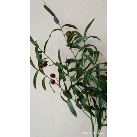 Cành lá oliu giả -6 nhánh - 10 nhánh  trang trí sự kiện - làm cây giả- cắm lọ hoa để bàn
