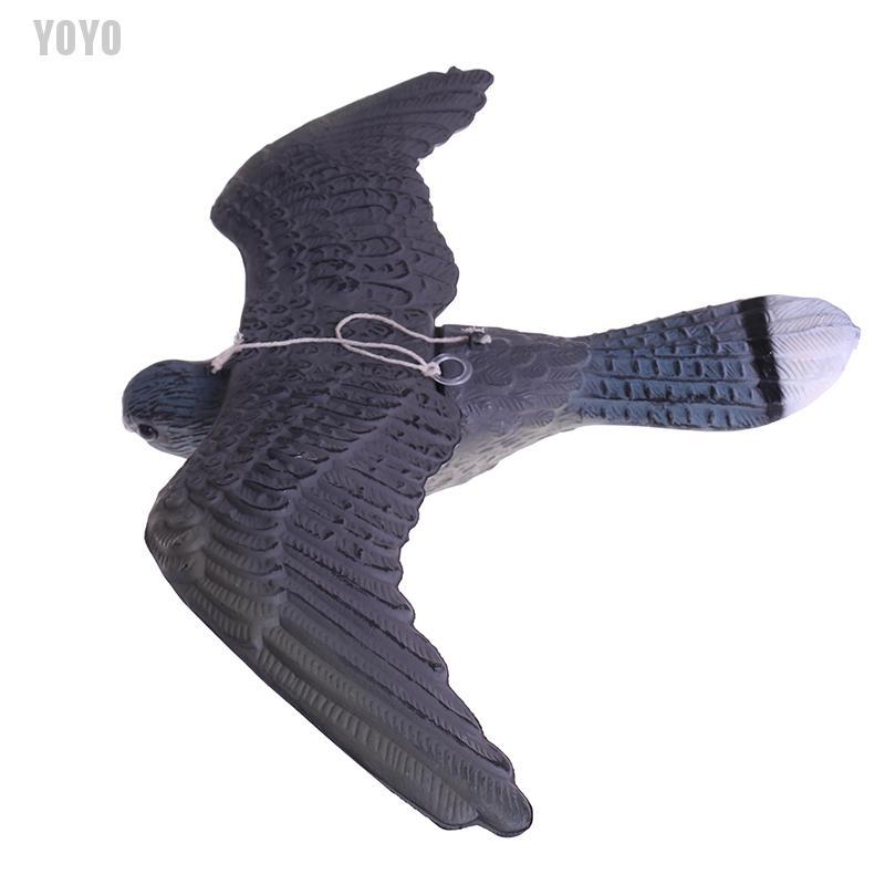Mô hình chim diều hâu điều khiển cân bằng sải cánh sống động