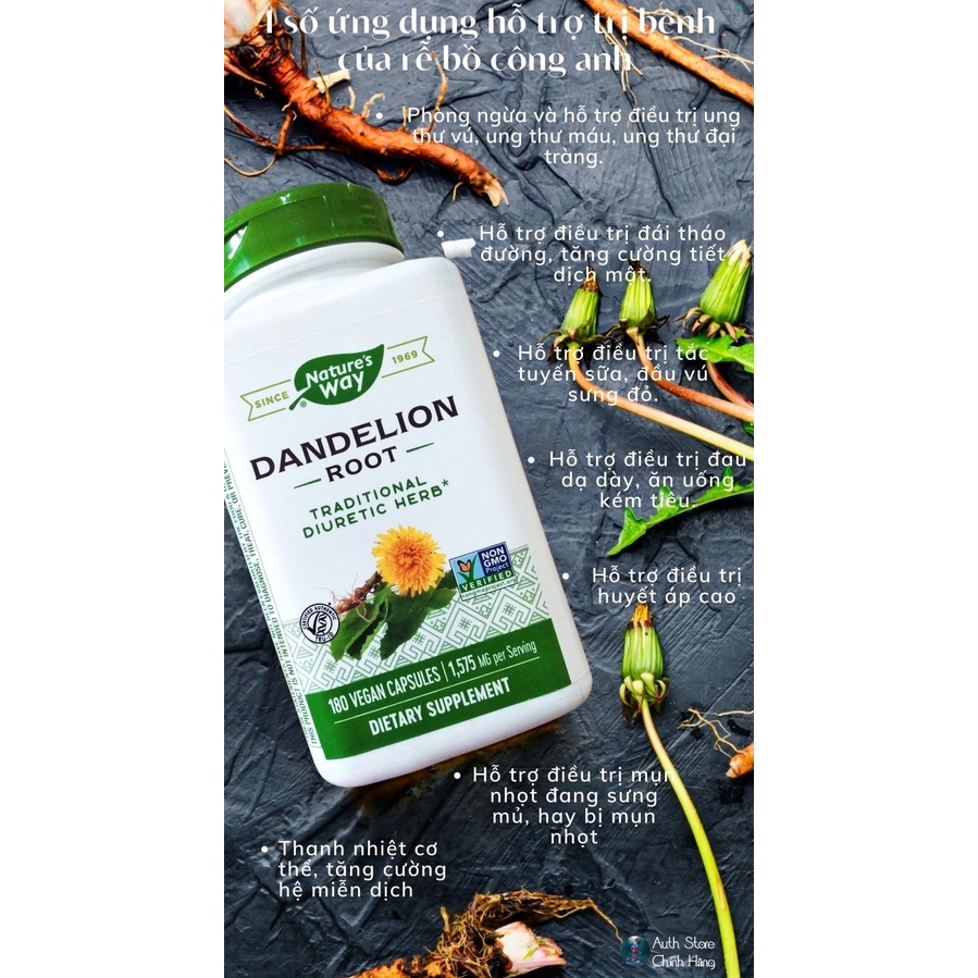 Rễ bồ công anh Dandelion Root Nature’s Way