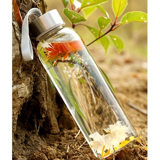 Bình đựng nước thủy tinh dây xách 500ml