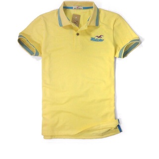Áo thun nam HOLLISTER mới cực chất