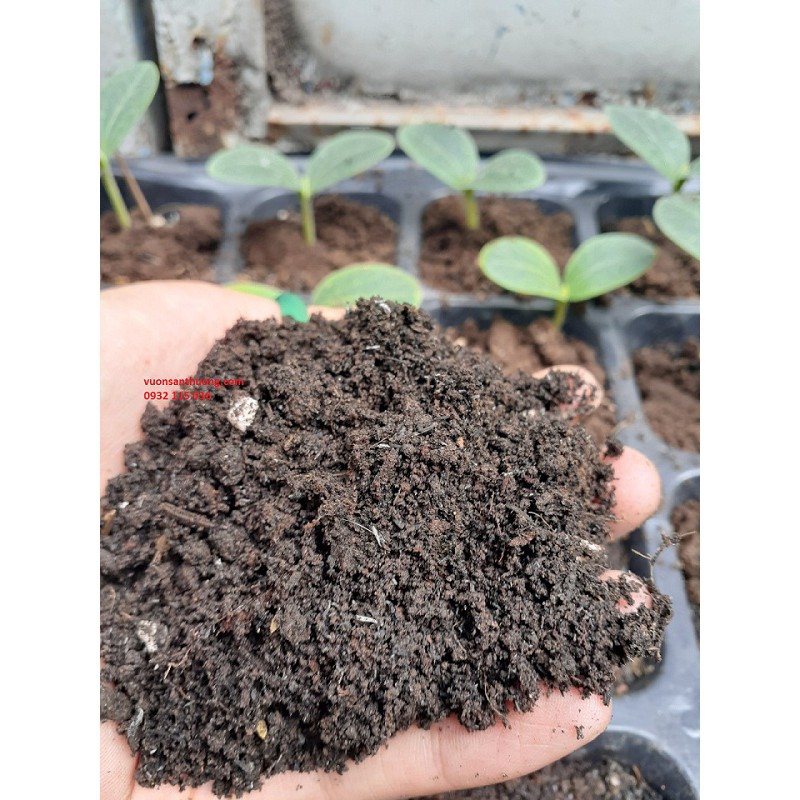 Đất Uơm Cây Con  Mấu Chốt Tạo Nên Cây Con Khỏe Mạnh