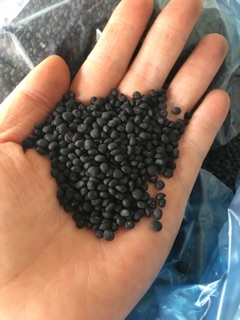 Sỉ 1 lạng hạt giống măng tây