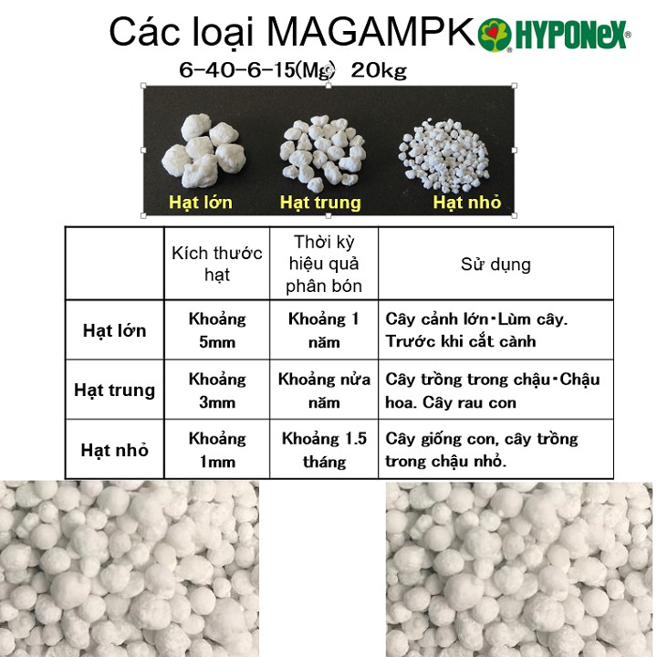 Phân bón MagampK 6-40-6-15 Nhật Bản hạt trắng kích thước 3mm gói 500g