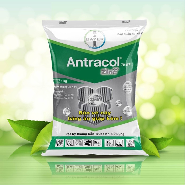 Sản phẩm trừ nấm bệnh cho cây trồng ANTRACOL 70wp