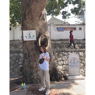 Quần kaki ống rộng form co dãn