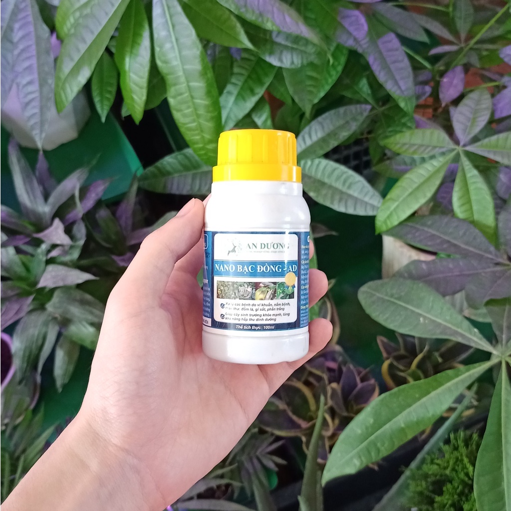 NANO BẠC ĐỒNG – AD bảo vệ cây trồng khỏi nấm và vi khuẩn gây hại