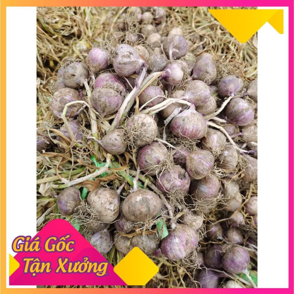 Tỏi đen HoShi loại 1 500g