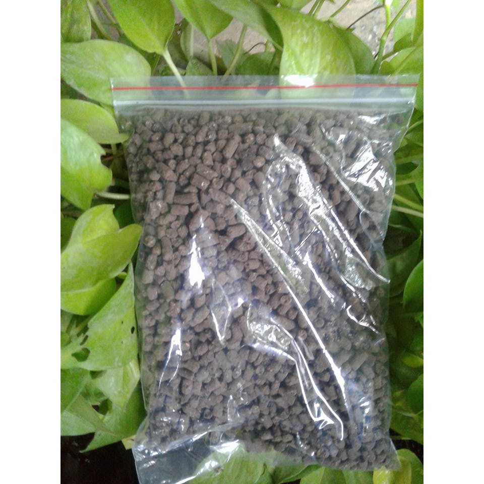 PHÂN CÁ HẠT CỦA NHẬT