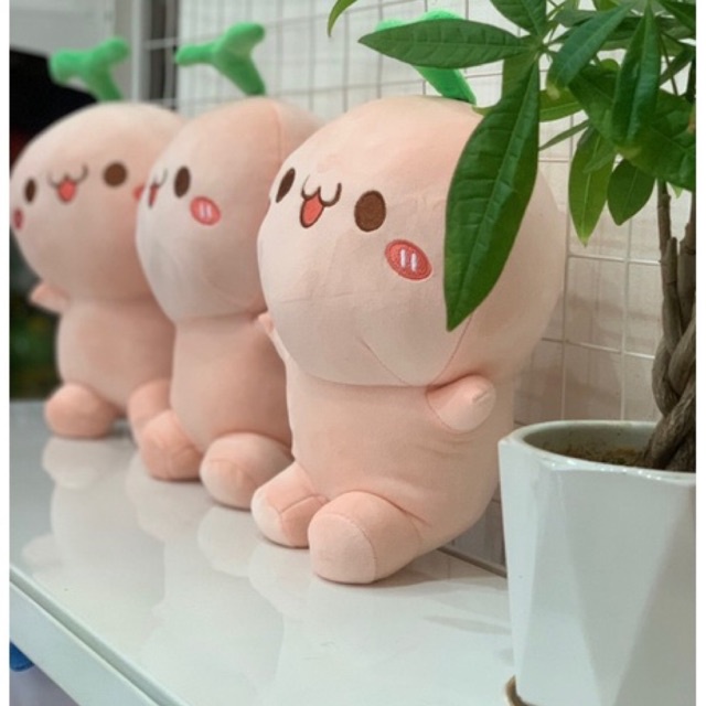 Gấu Bông Rau Mầm - Mầm Cây Dễ Thương ❤️Xưởng Gấu Hoa Bình❤️