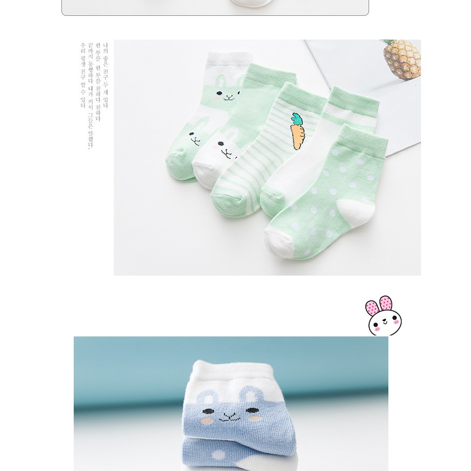 Set 5 đôi Tất cổ chân Hàn Quốc màu ngộ nghĩnh.