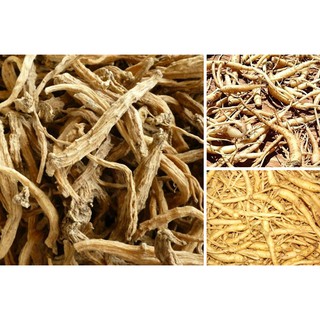 Đẳng Phòng Sâm khô loại tốt 100g