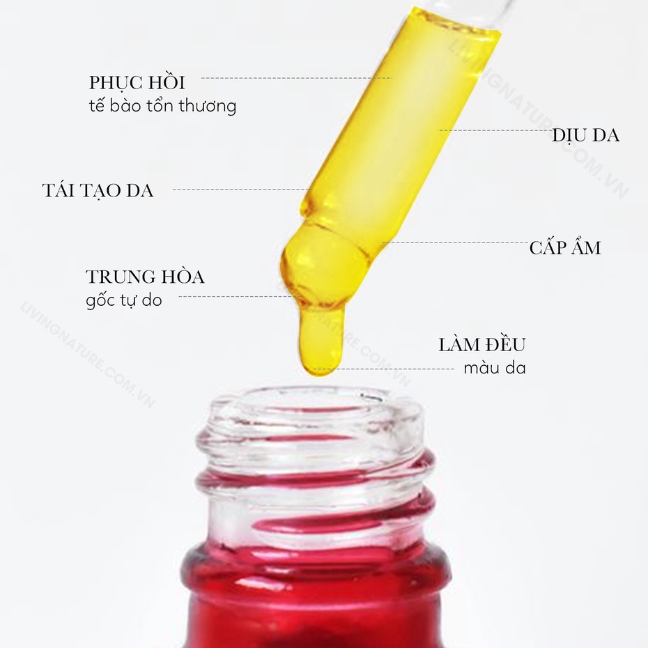 [Hỏa tốc] Tinh dầu dưỡng da Living Nature Ultimate Day Oil 30ml