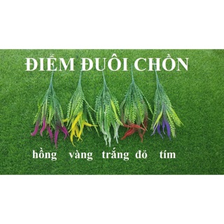 Cụm điểm đuôi chồn