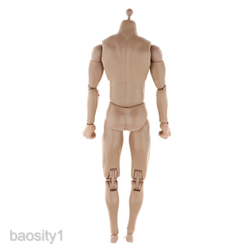 Mô hình cơ thể người nam tỉ lệ 1/6 12&quot;