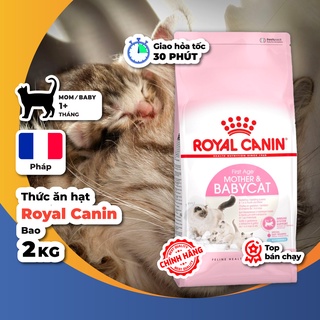 Thức ăn hạt Royal Canin Mother Babycat cho mèo bầu & mèo sơ sinh