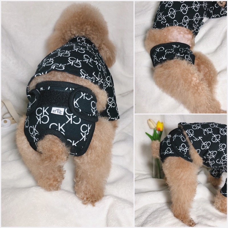 Quần sinh lý Ck cao cấp cho chó mèo/quần sinh lý cún cái