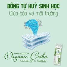 [Có sẵn] Bông Tẩy Trang Hữu Cơ Ceiba 80 Miếng Organic Tree (chính hãng có VAT) | BigBuy360 - bigbuy360.vn