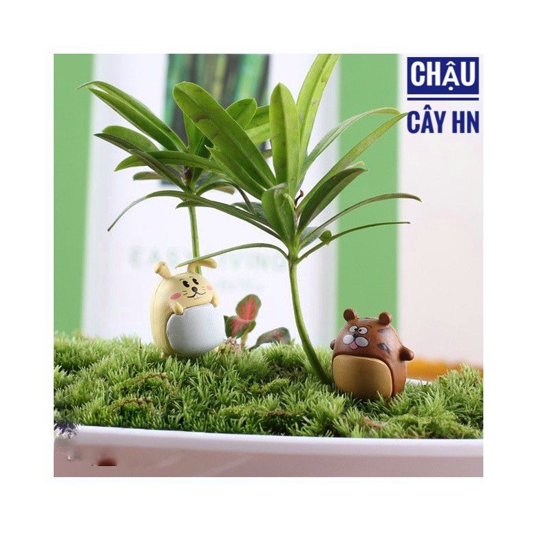 Tiểu cảnh thú béo trang trí terrarium, sen đá, xương rồng, cây cảnh mini, charm slime trang trí chậu cây trồng, nhà cửa