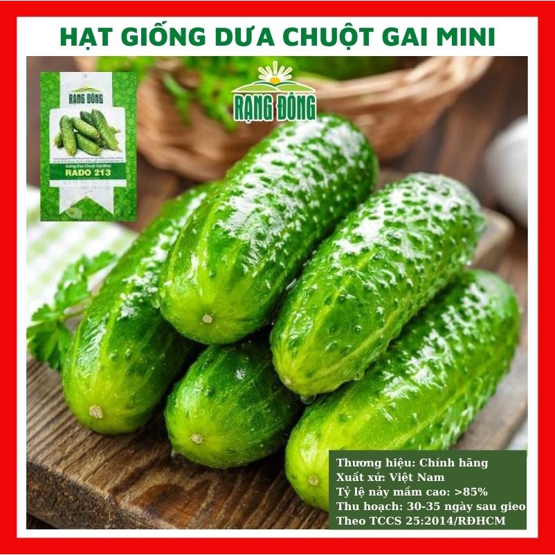 Hạt giống dưa chuột gai mini  ngon giòn ngọt - rau củ quả trồng chậu, trồng vườn 1gr RADO 213