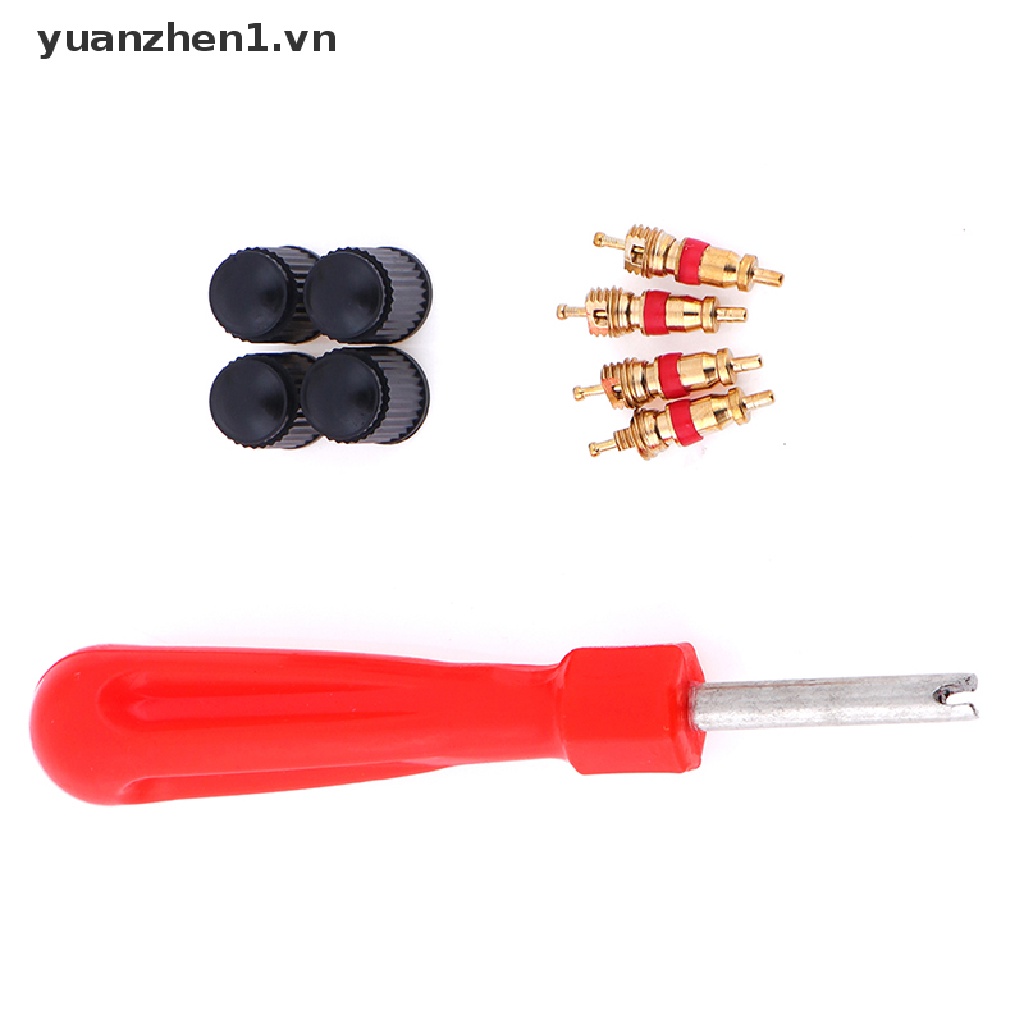 1 Bộ Dụng Cụ Sửa Chữa Van Lốp Xe Hơi / Mô Tô