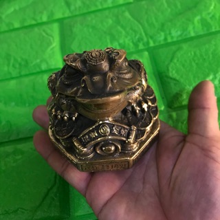 Cóc đồng phong thuỷ