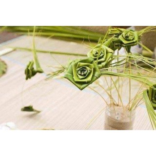 1kg lá dừa tươi làm đồ handmade cho các bé