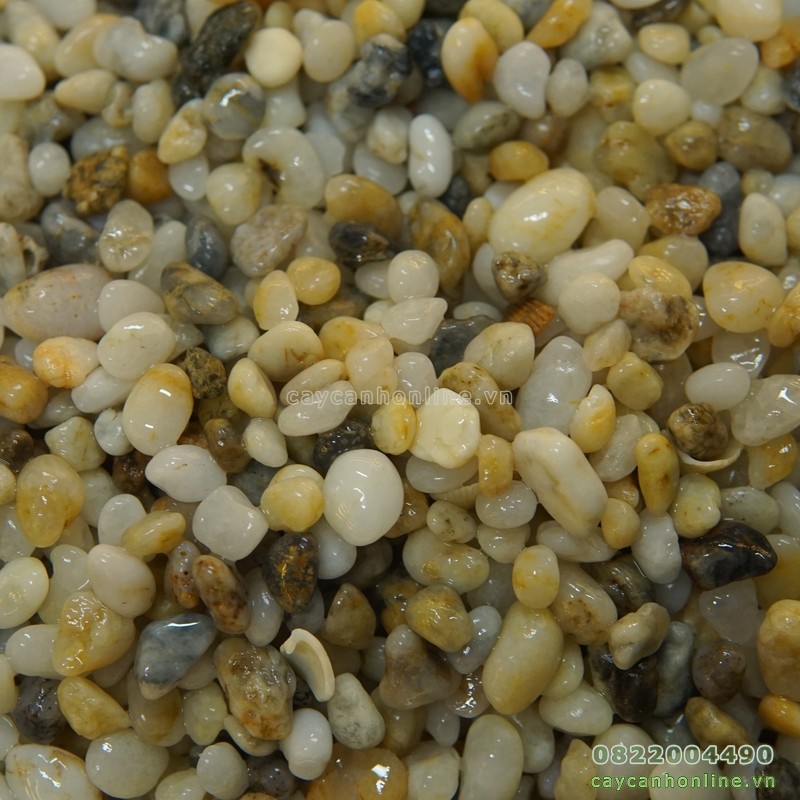 1kg sỏi biển trang trí tiểu cảnh chậu cây cảnh mini