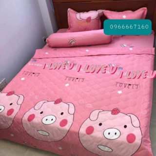 Bộ gra giường 5 món ẢNH THẬT mẫu mickey đen