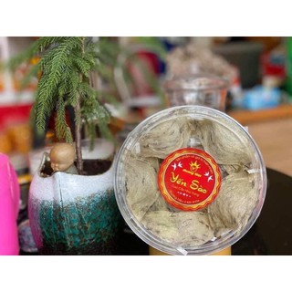 Tổ yến thô ít lông