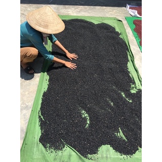 Đậu Đen Xanh Lòng Rang (1Kg)