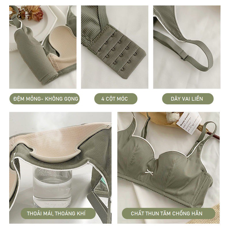 Áo Lót Không Gọng Đệm Mỏng Làm Gọn Ngực Thun Tăm B040