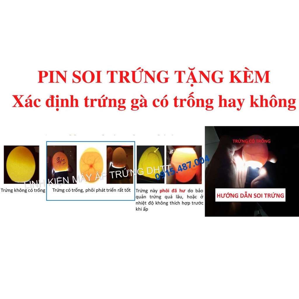 Máy ấp trứng Tuấn Trình