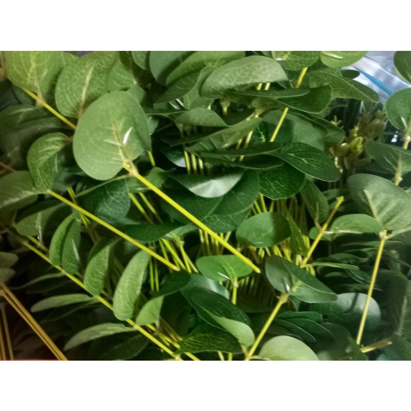 100g Lá táo rời, dùng bó hoa, trang trí giỏ hoa