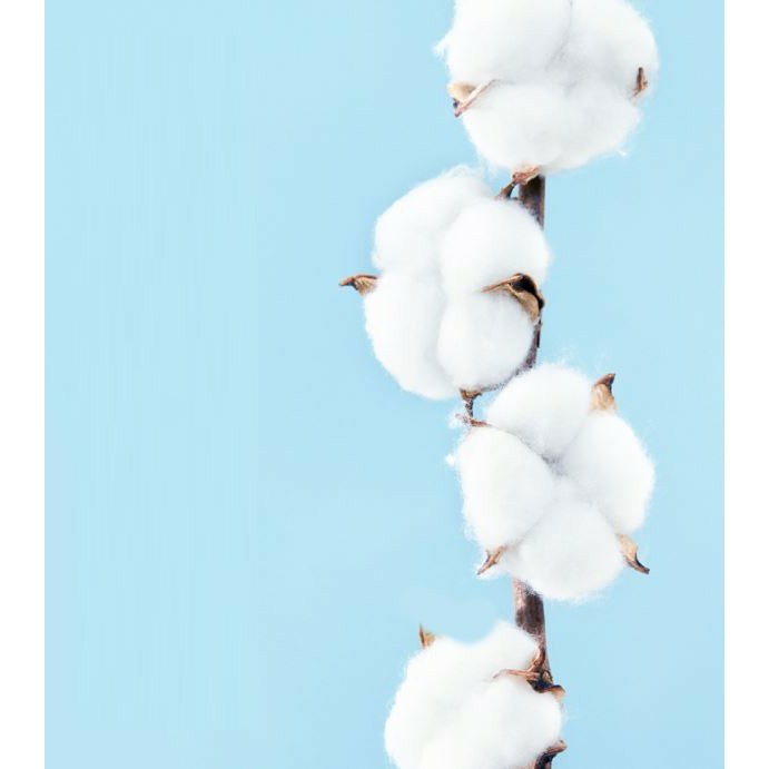 PVN24995 Bông tẩy trang Maycreate 150 miếng Soft Close Skin Mẫu Mới T2 | BigBuy360 - bigbuy360.vn