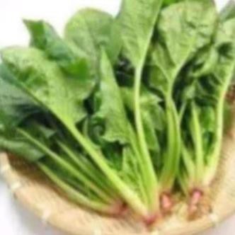DEAL 1K [DEAL SHOCK 1K] 100 Hạt Giống Rau Cải Bó Xôi - Rau Chân Vịt [FREESHIP XTRA]