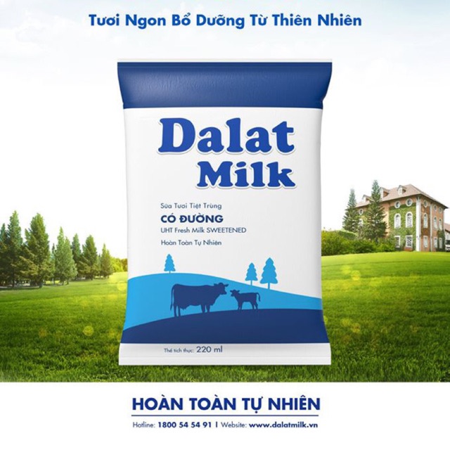 {Chỉ giao HCM}Thùng Sưa Tươi DalatMilk 220ml