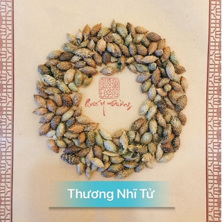 300gr thương nhĩ tử