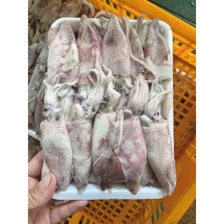 Mực ống tươi 1kg ngon ngọt ❤️ GIÒN NGON❤️ 1kg xào , hấp , thả lẩu