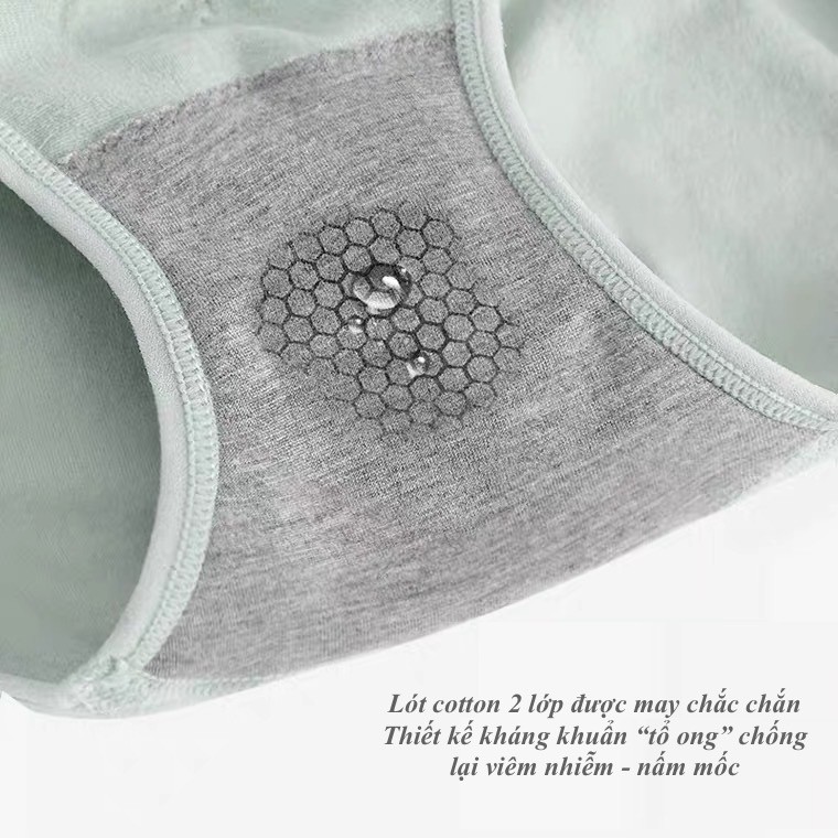 QUẦN LÓT NỮ COTTON SỢI TRE CẠP CAO VANVENE GEN BỤNG TẠO EO THON NÂNG MÔNG THÔNG HƠI KHÁNG KHUẨN CHỐNG VIÊM NHIỄM Q450 | BigBuy360 - bigbuy360.vn