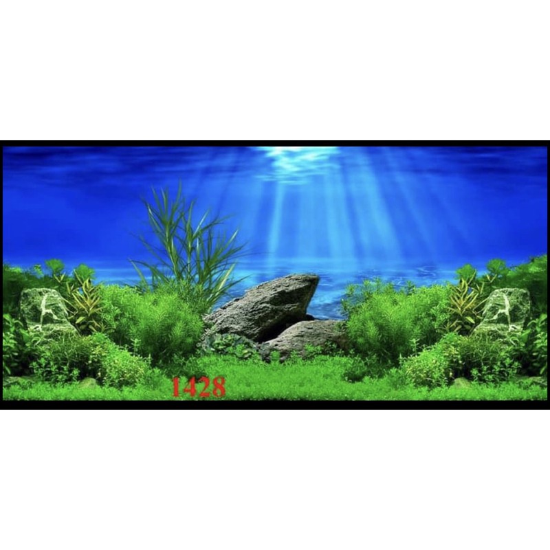 Tranh 3D dán bể cá