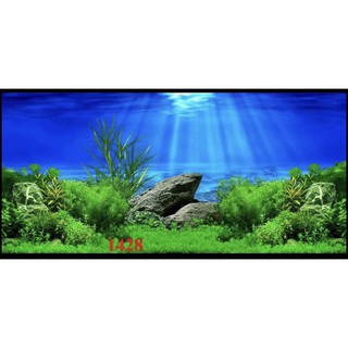 Tranh 3D dán bể cá