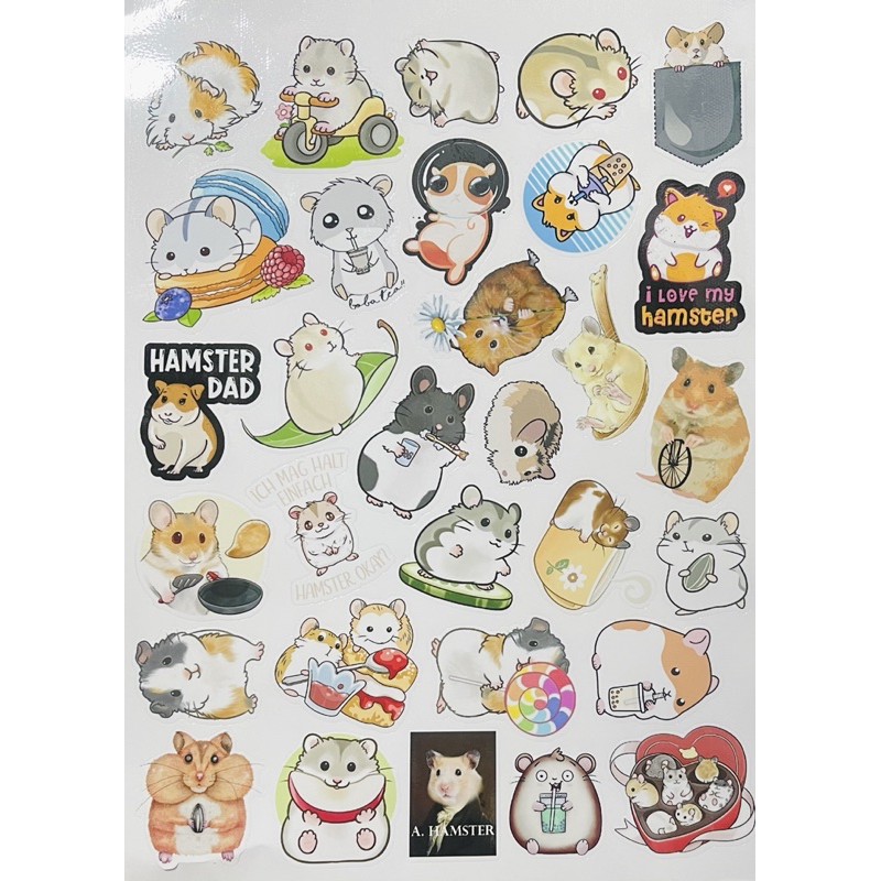 Sticker chuột hamster 30-35 cái ép lụa  nhau/hình dán trang trí chuột hamster