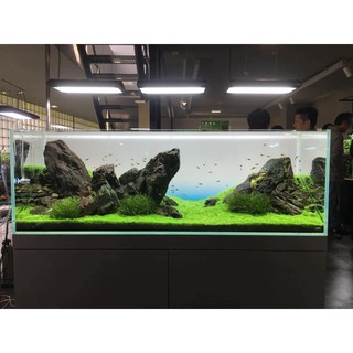 Decal 3D trang trí bể cá