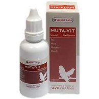 Muta vit bổ sung vitamin cho chim, giúp chim thay lông nhanh, sản xuất tại Bỉ. 10ml/130k