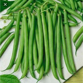 HẠT ĐẬU COVE HẠT ĐEN DẠNG LEO - GÓI 20 GRAM