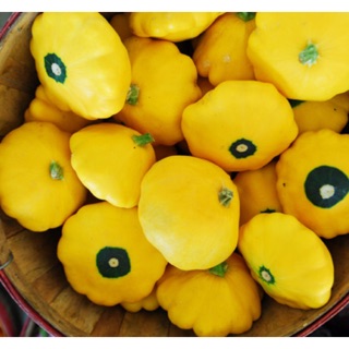 Hạt giống Bí đĩa bay vàng