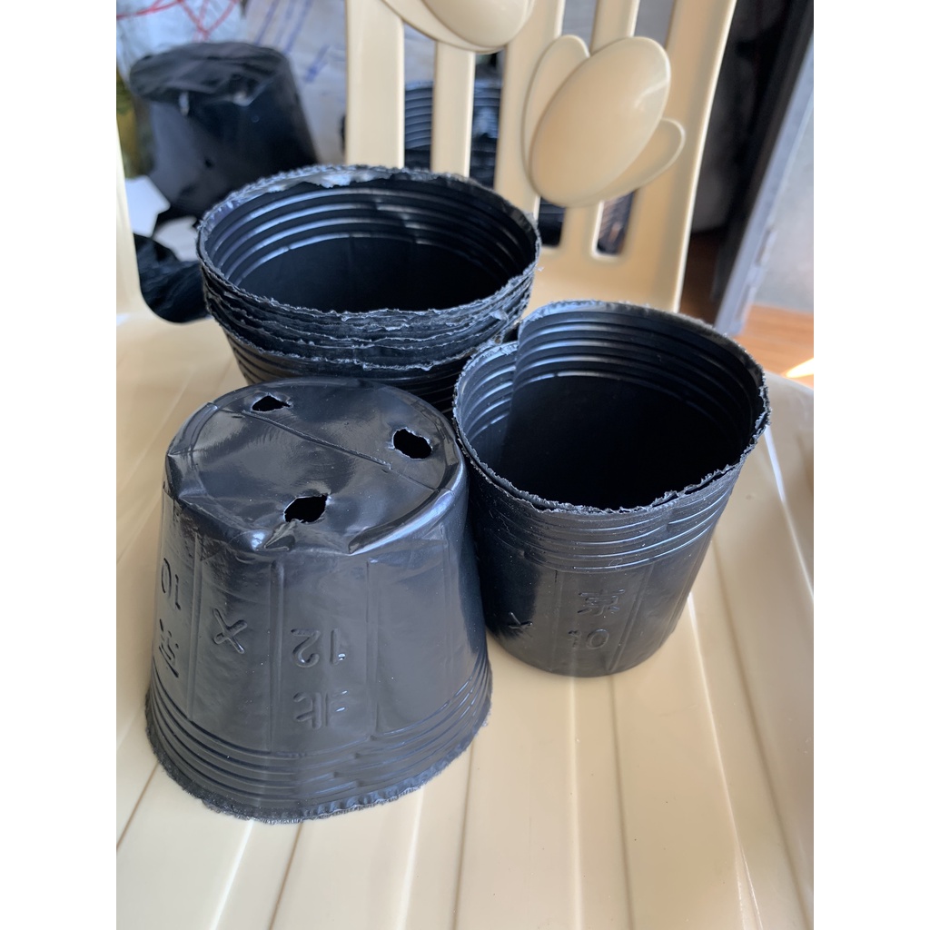 BẦU ƯƠM CÂY 12*10 ( DỊCH TRUYỀN CHO CÂY, KÍCH RỄ , MẦM CÂY XANH LÁ, LƯỚI CHE NẮNG...)