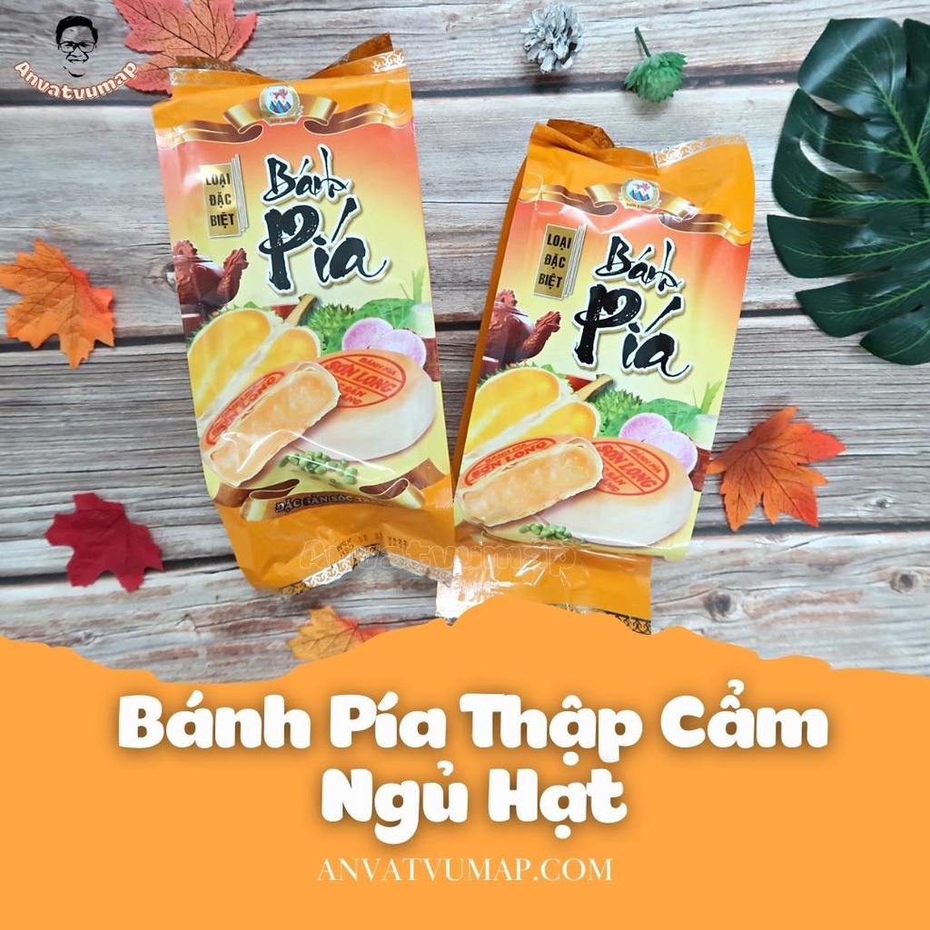 [ANVATVUMAP - NHÀ LÀM 100%] COMBO Bánh Pía Thập Cẩm Ngũ Hạt (Nhân Mặn) -Hộp 4 Cái